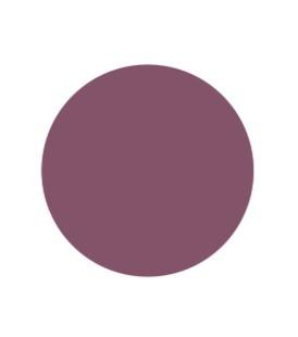 Topface Extreme Matte Lip Paint Liquid Lipstick  (PT-206.030)