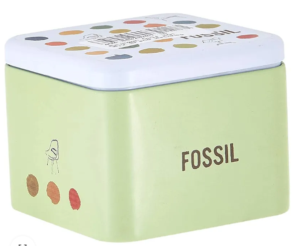 Fossil Analog White Dial Women's Watch-CE1002